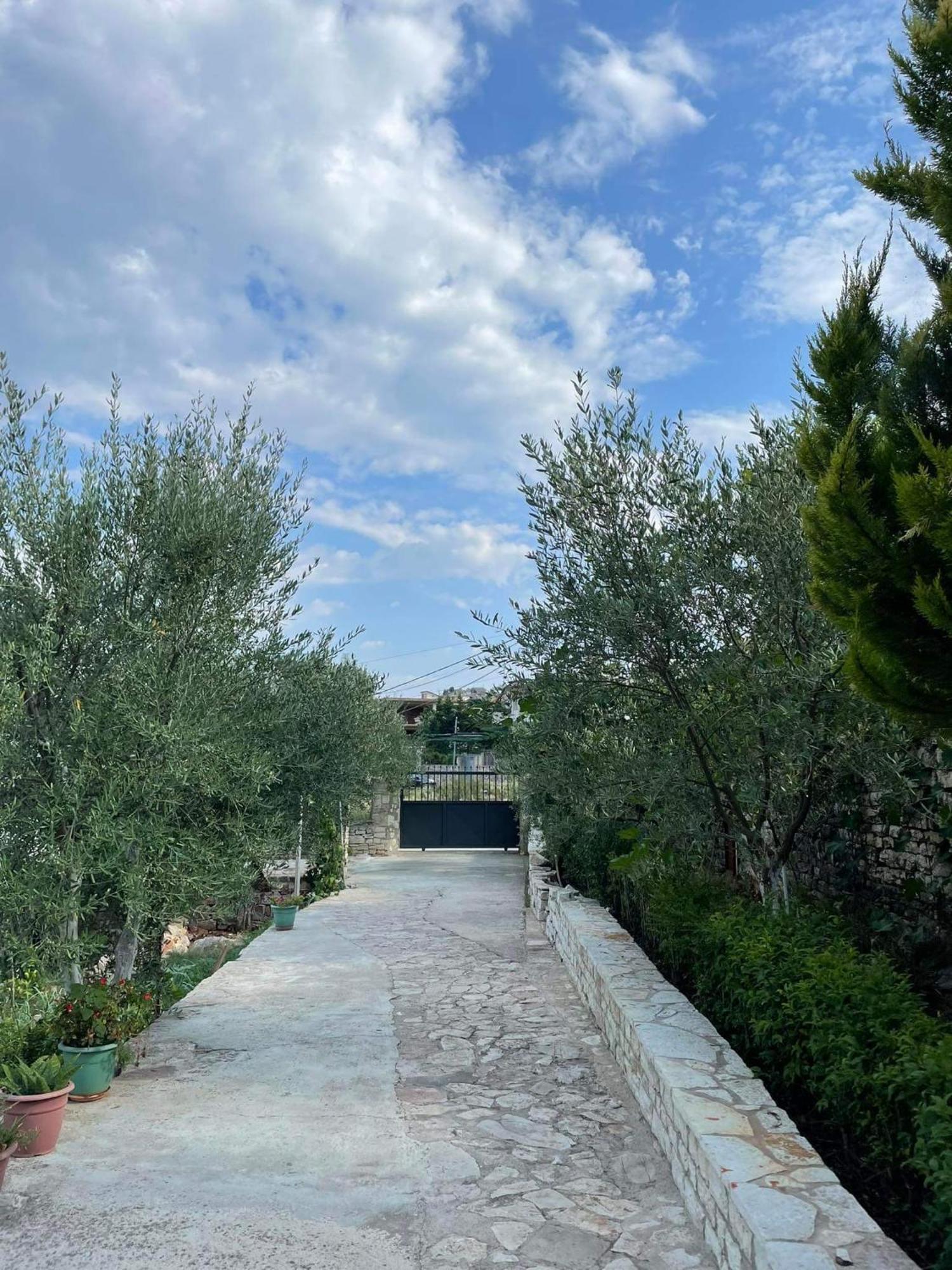 Anna Feriehus Sarandë